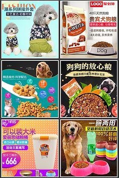 時(shí)年寵糧 科學(xué)配比，守護(hù)寵物健康