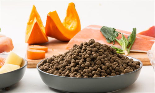 豆柴完成數(shù)千萬元A輪融資，金鼎資本領(lǐng)投，加速寵物食品市場(chǎng)布局