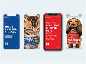 以愛為筆，以食為畫——專訪寵物食品包裝設(shè)計(jì)師